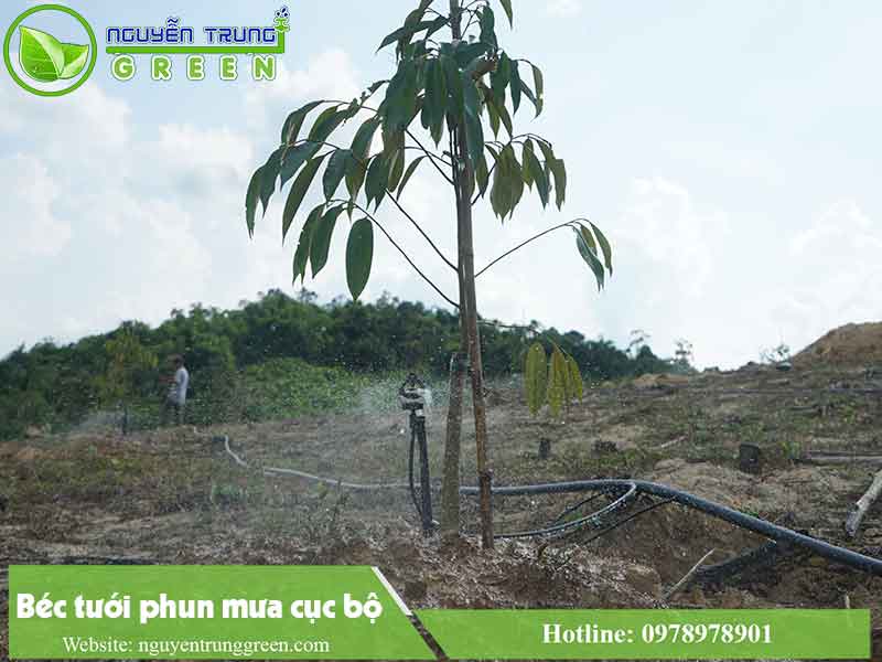 béc tưới phun mưa cục bộ tại Tây Ninh