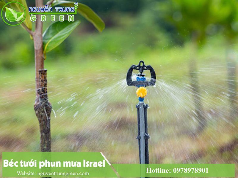 Béc tưới phun mưa Israel mang đến hiệu quả tưới tốt nhất cho vườn cây 