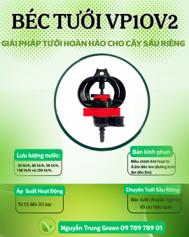 5 Tiêu Chí Chọn Béc Tưới Sầu Riêng Chuẩn Nhất Đừng Để Mất Tiền Oan Vì Mua Sai Béc
