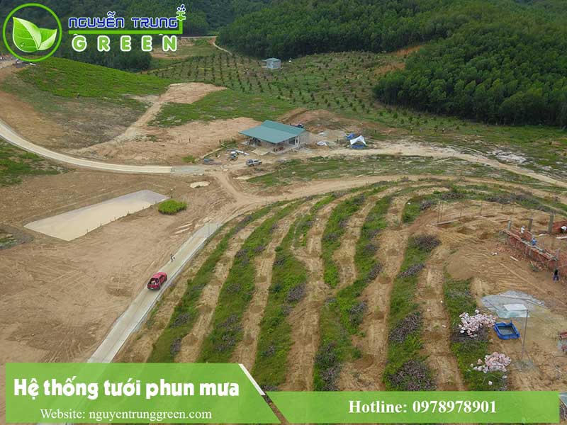 Dự án lắp đặt hệ thống tưới phun mưa tại Tây Ninh